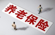 国产a级一级久久毛片,揭秘一级久久毛片背后的故事